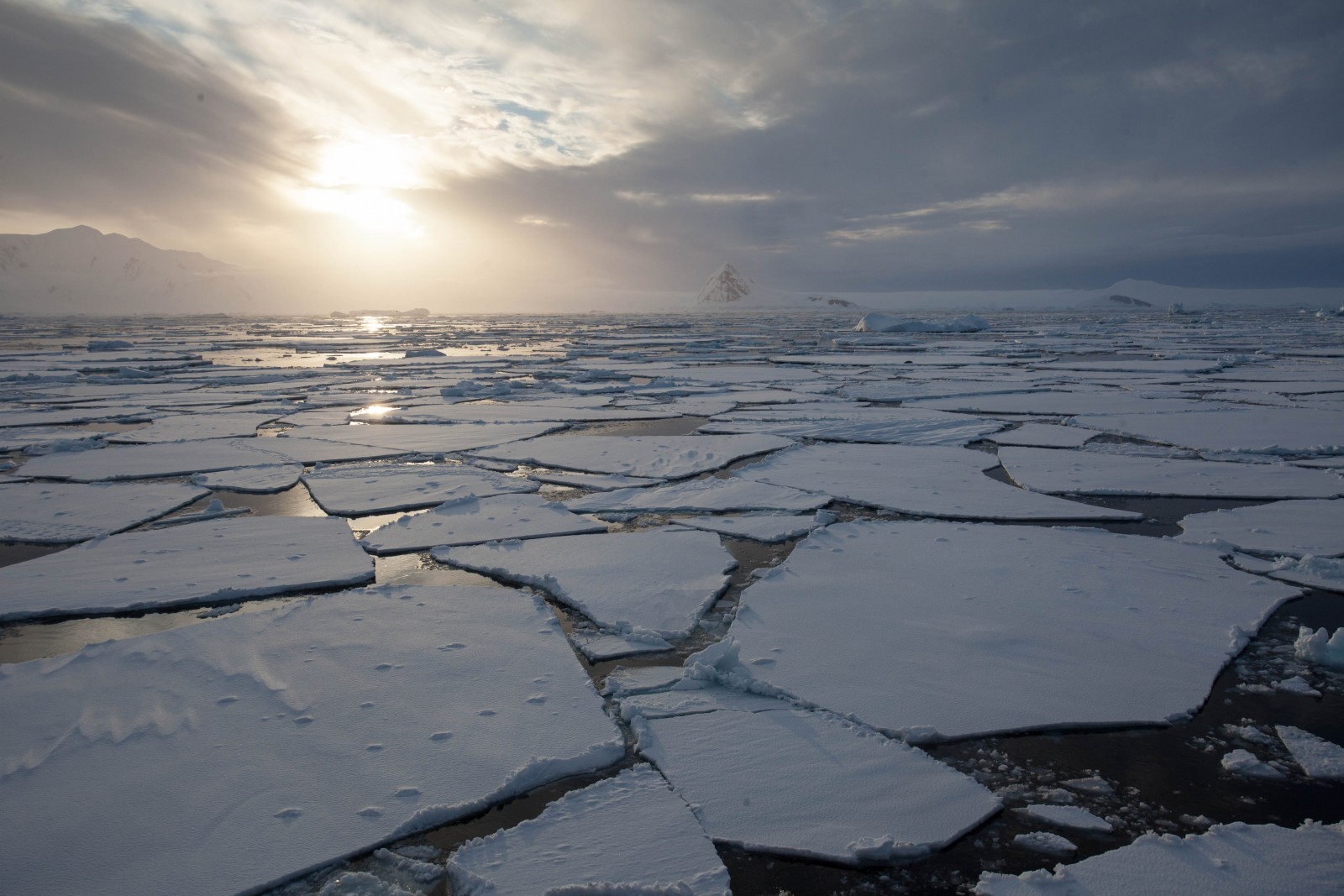 Argentina, Antarctic, Supplier Photo (Unscape)