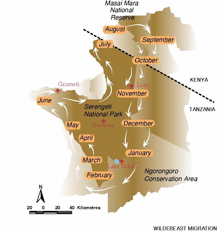 East Africa Migration map