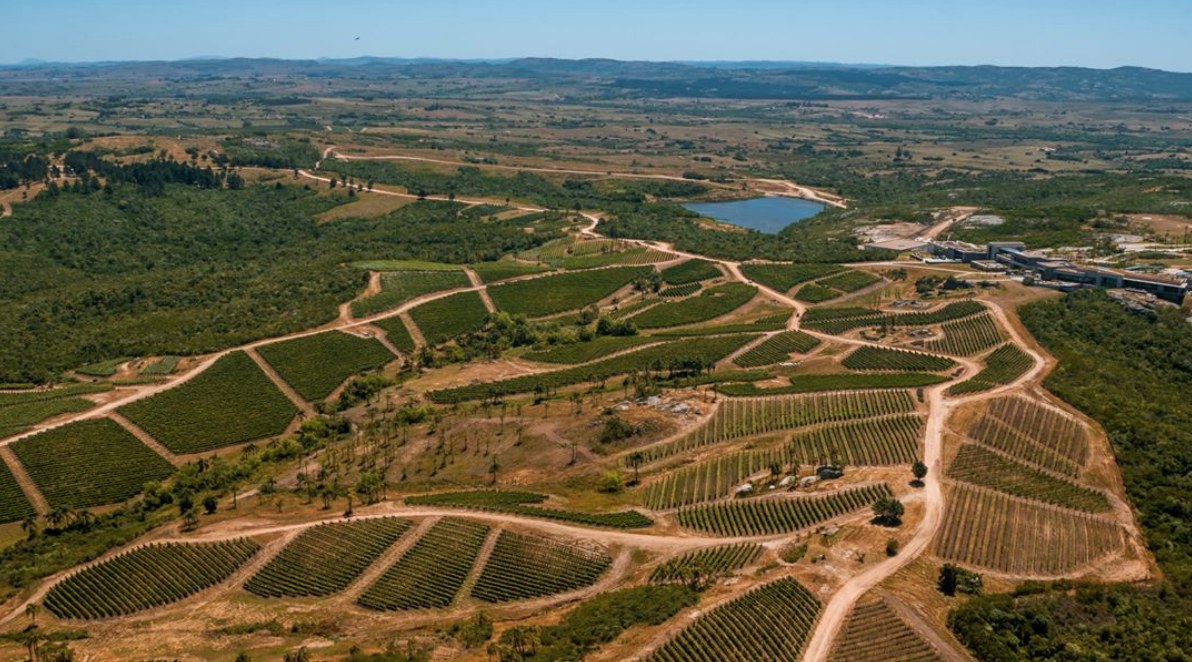 Bodega Garzon winery, Hills of Garzon, Uruguay, Supplier Photo (Lures Tours)