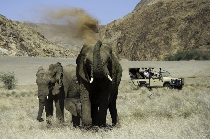 Elephants, Demaraland, Namibia, Africa, Supplier Photo (Ultimate Safaris)