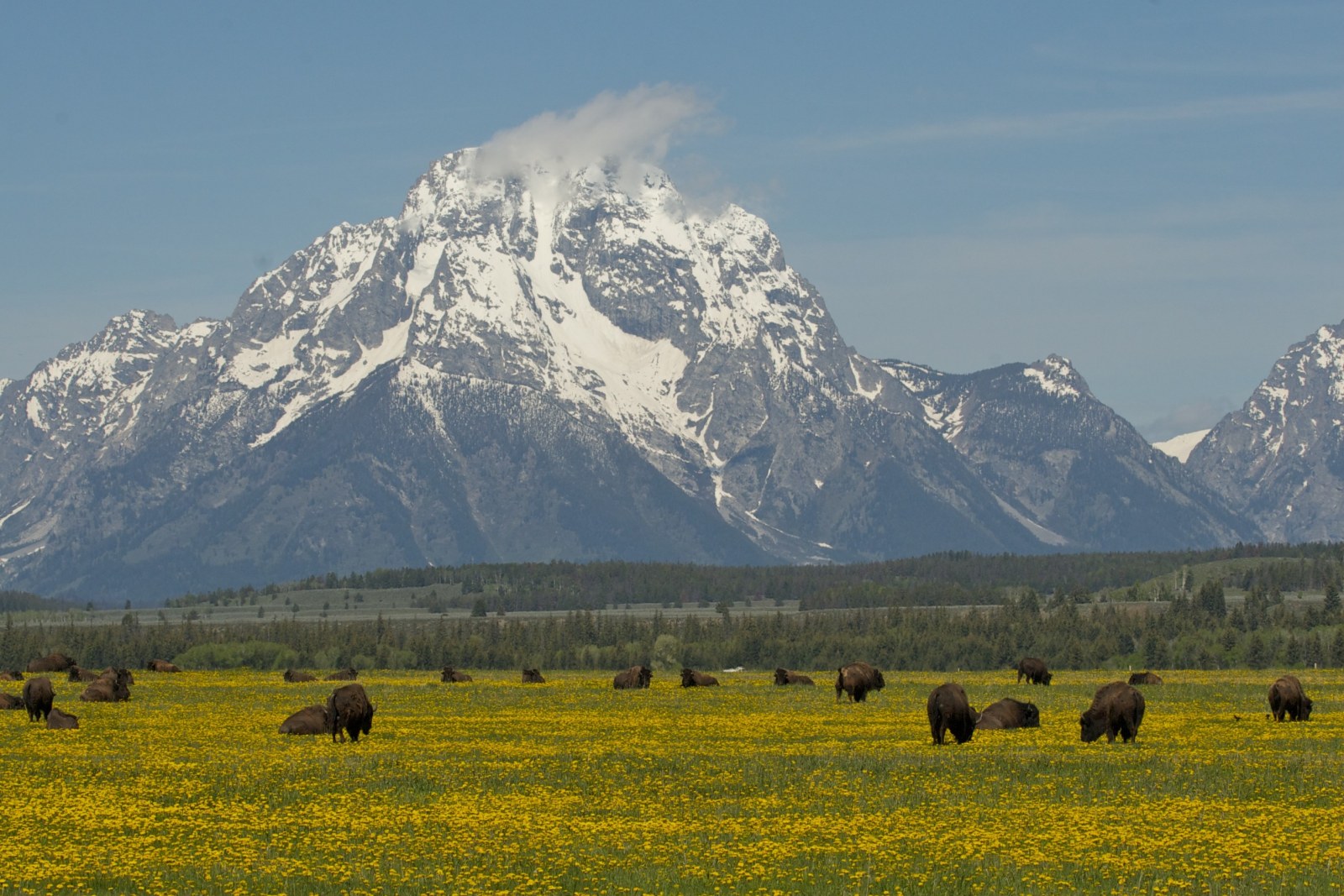 Grand Teton NP, Wyoming, Supplier