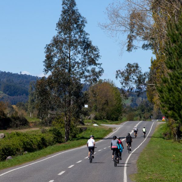 Biking Lakeside in Chile (7 Days)