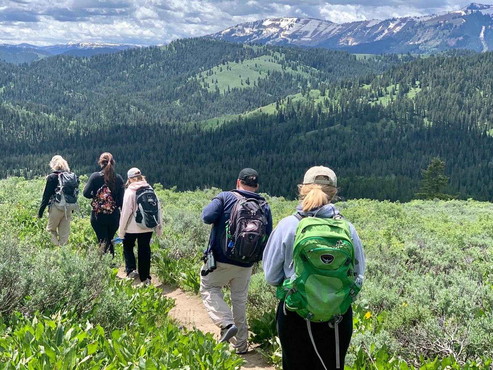 Bridger Teton National Forest, Hiking, Jackson Hole, Wyoming, Supplier