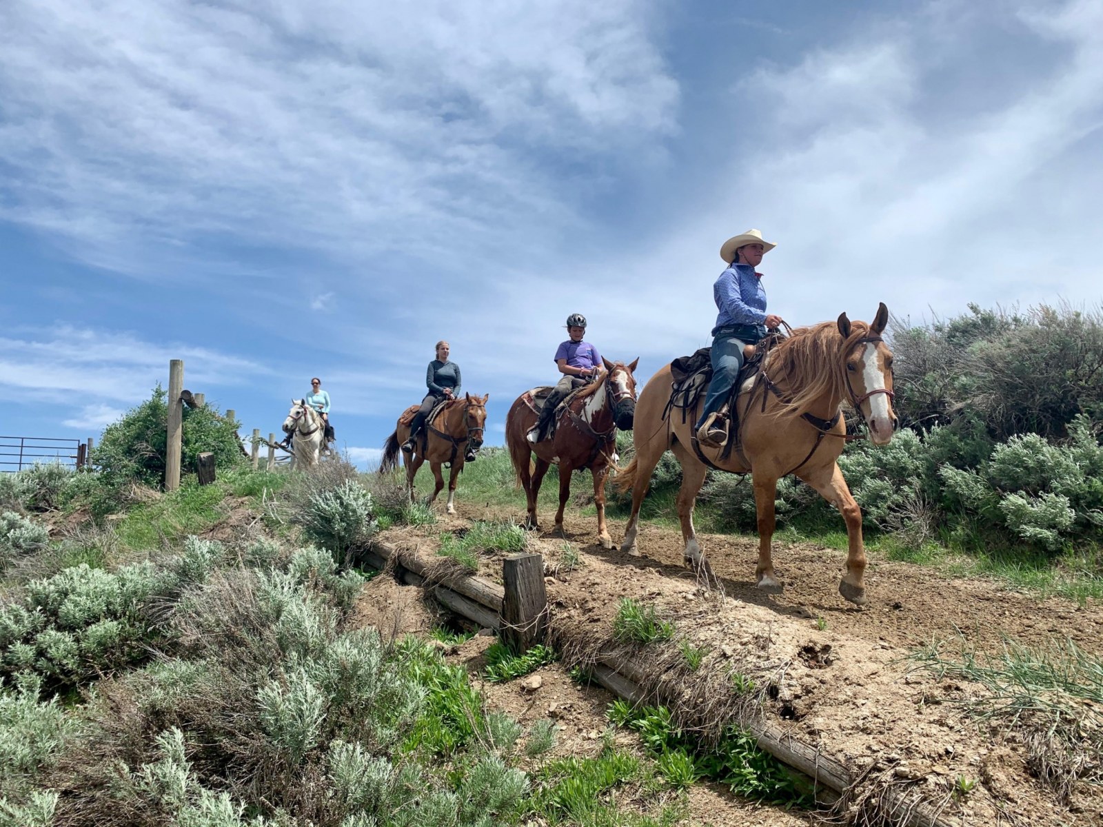 Jackson Hole, Horseback Riding