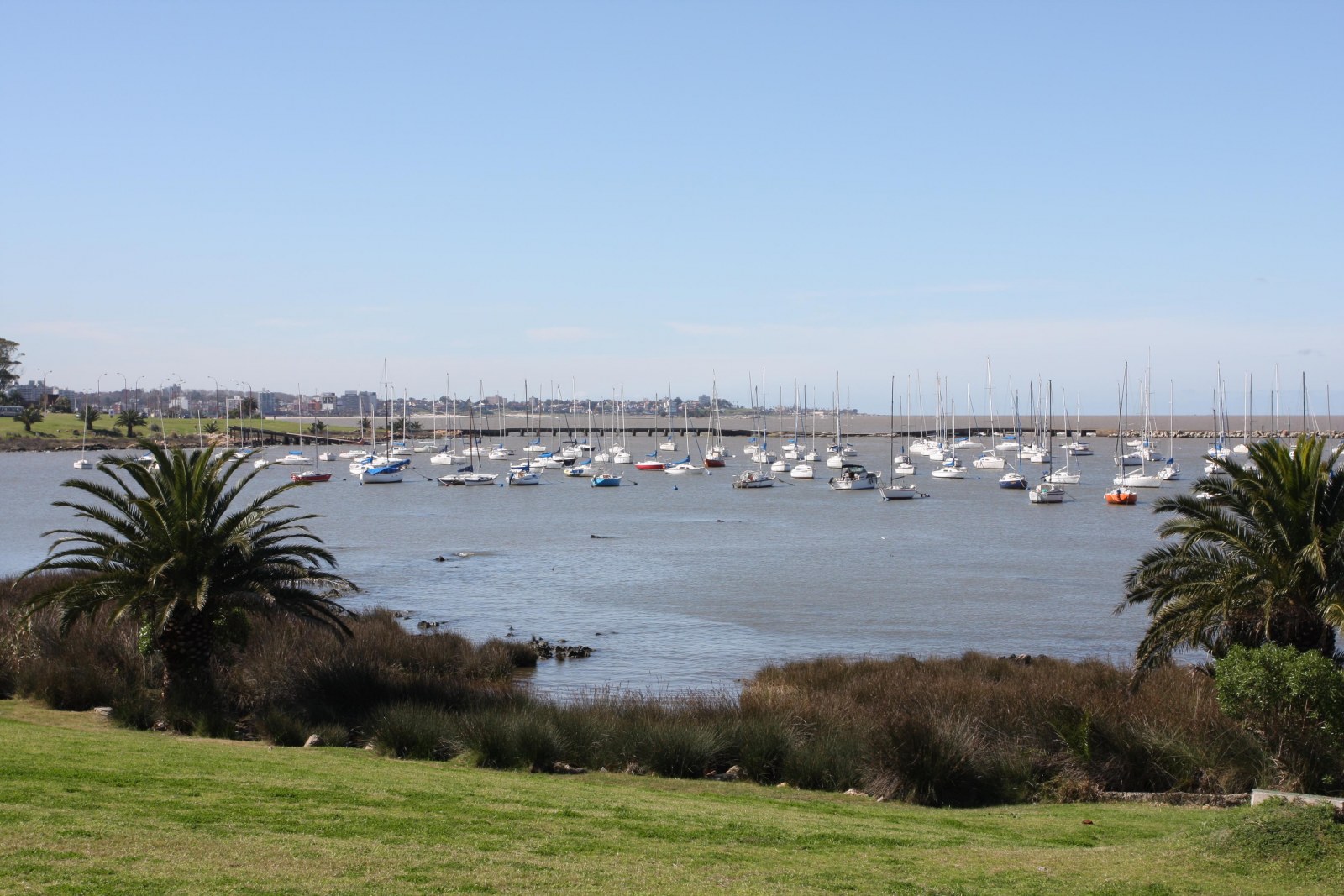 Montevideo Port, Uruguay, Supplier Photo (Lures Tours)