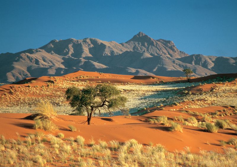 Namib Rand Nature Reserve, Namibia, Africa, Supplier Photo (Ultimate Safaris)