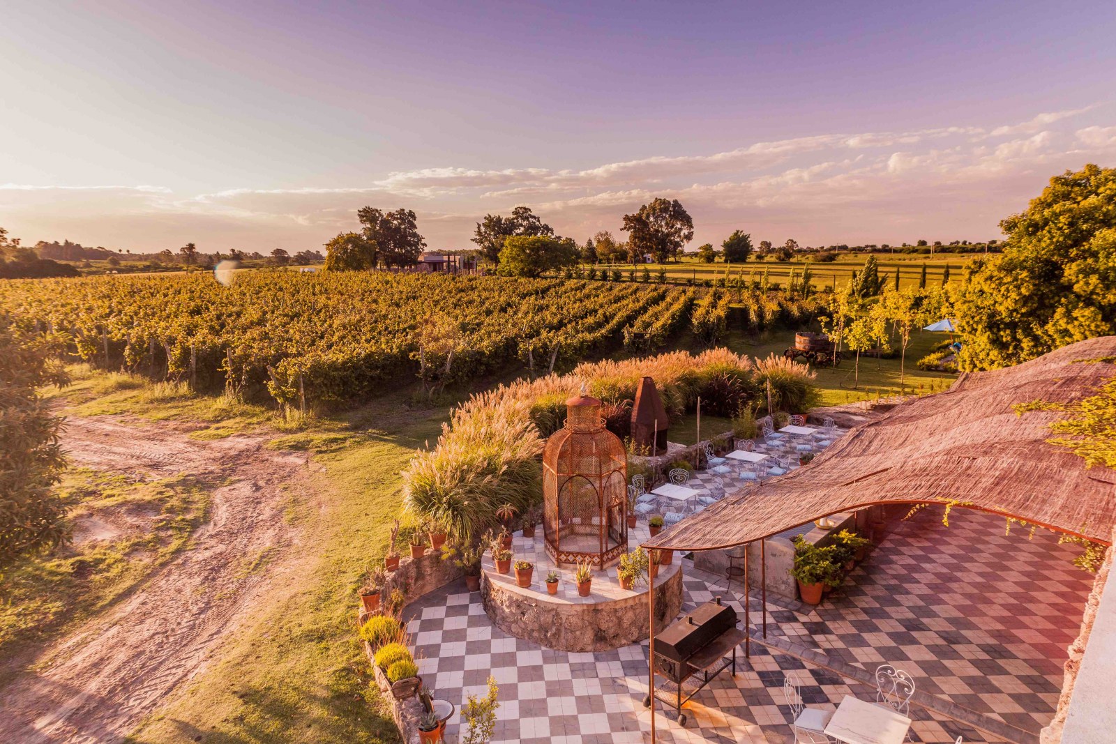 Narbora winery, Carmelo, Uruguay, Supplier Photo (Lures Tours)