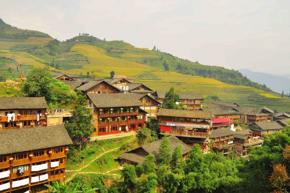 Rice terraces Longsheng China