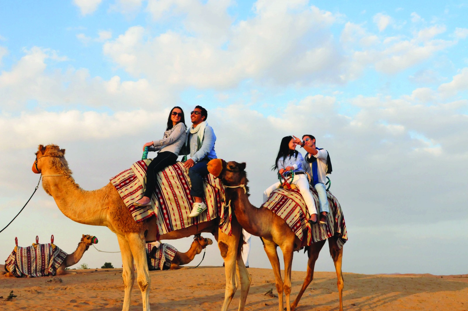 Sundowner Safari, Dhabi, Emirates, Supplier Photo (Exeter)