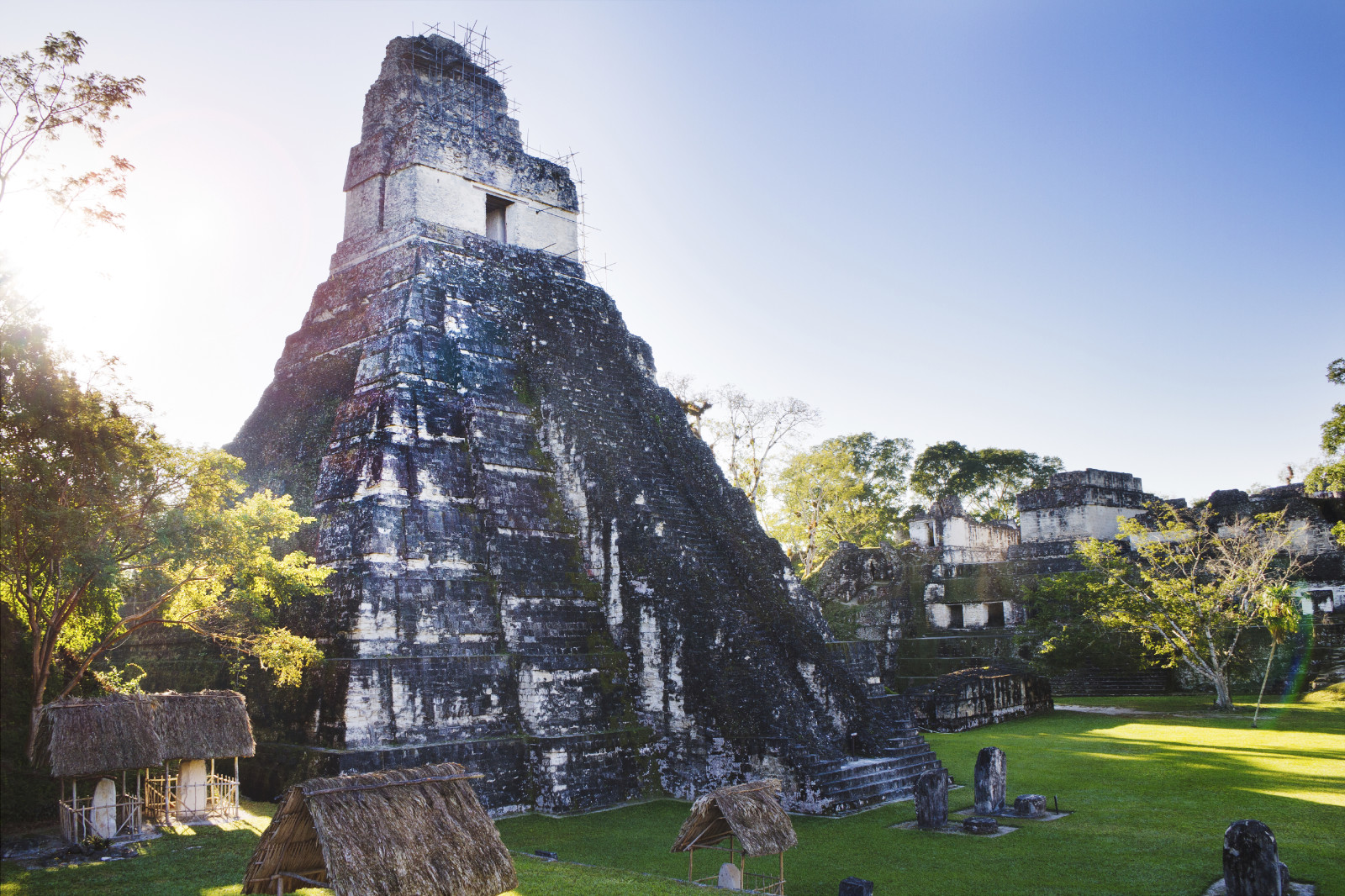 Tikal, Guatemala, Supplier