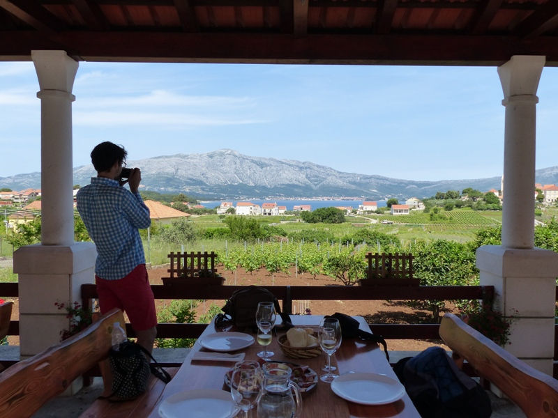 Wine Tasting, Korcula, Croatia, Supplier (PureQuest)