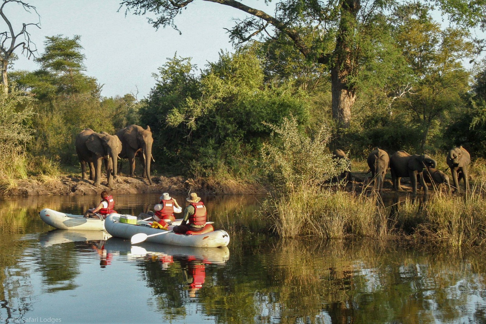 Zambezi river, Zambezi National Park, Zimbabwe, Africa, Supplier Website