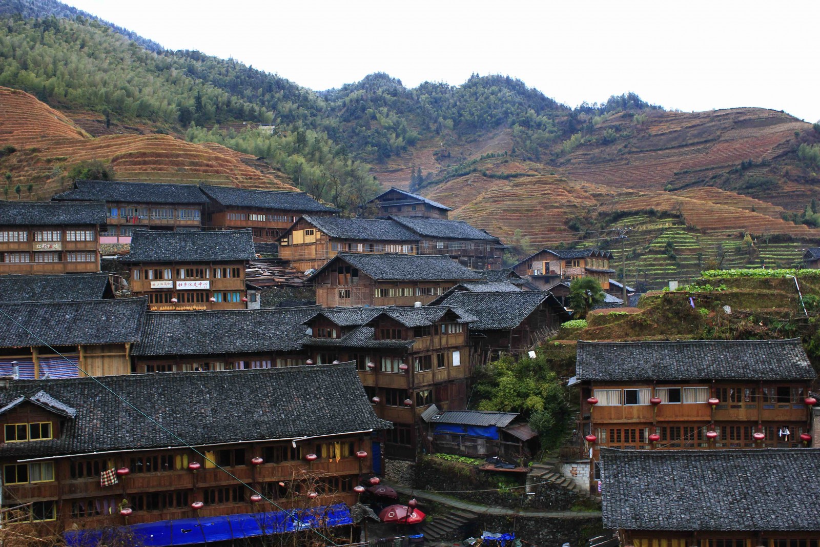 Longsheng, Zhuang Village, China, Supplier Photo (PureQuest)