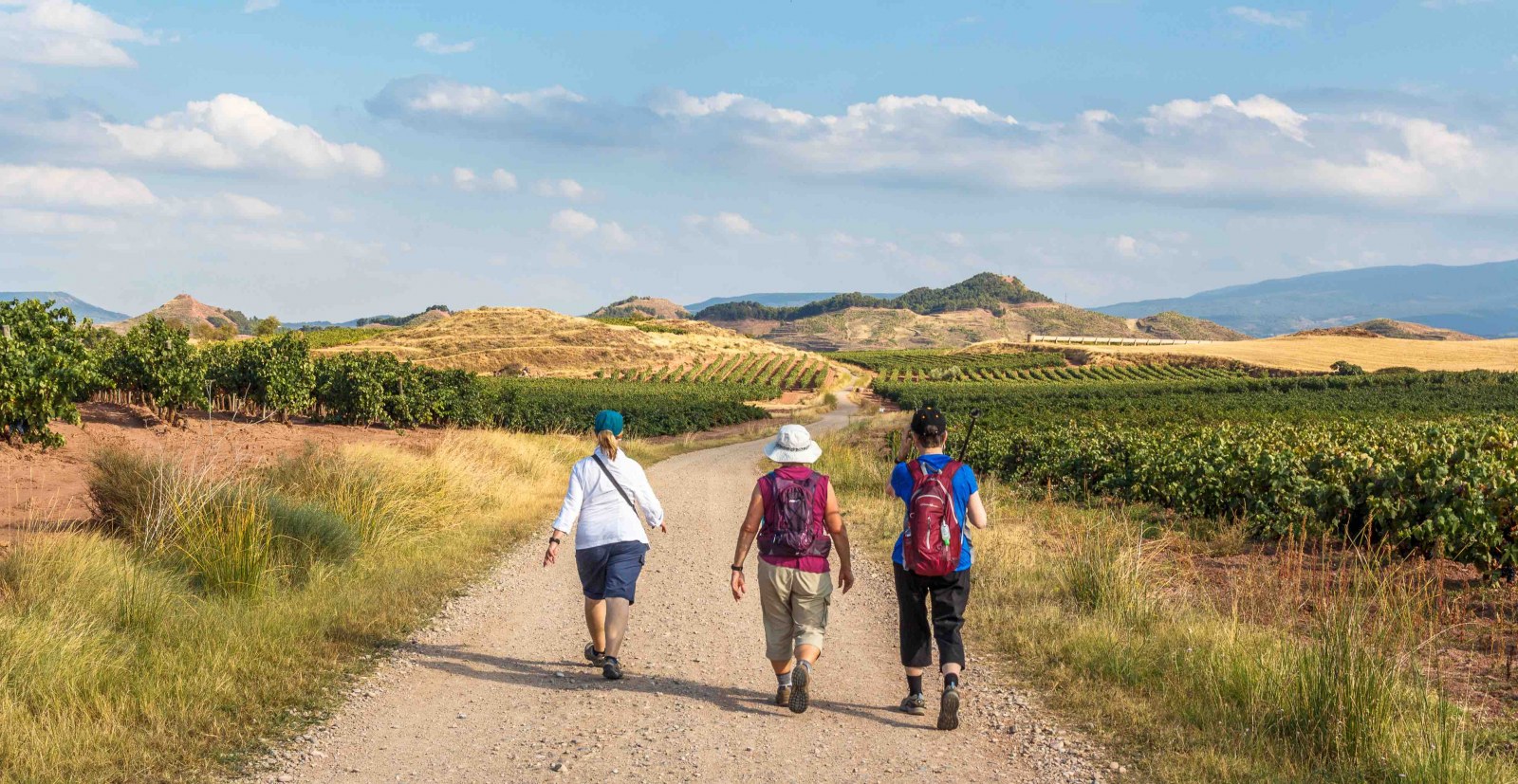 Camino Santiago Spain
