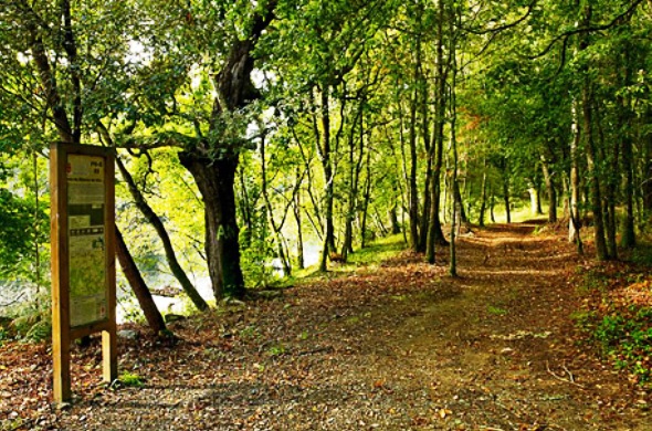 Camino Santiago Spain