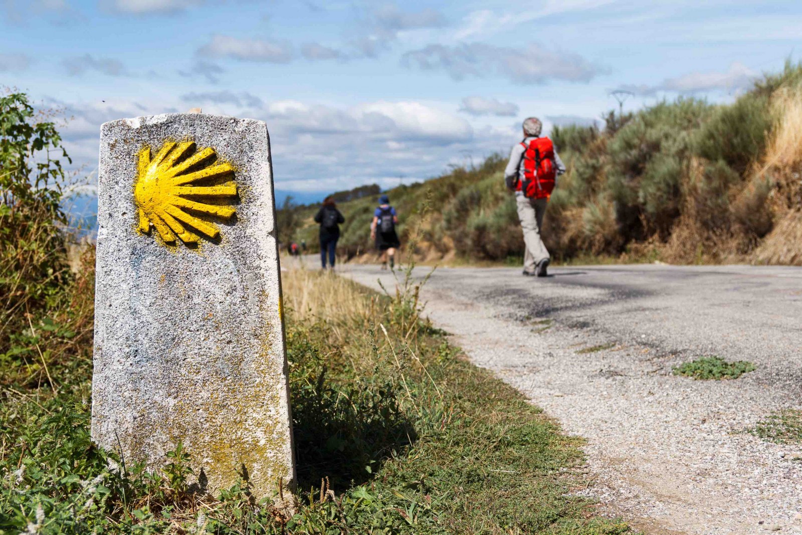 Camino Santiago Spain