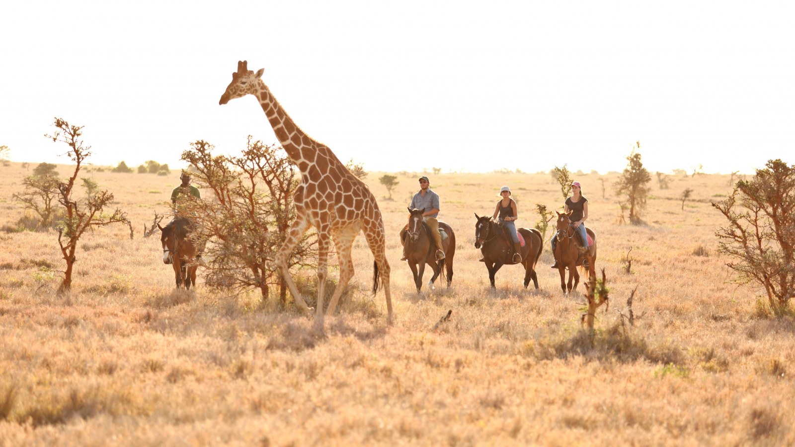 Lewa Wilderness, Kenya, Supplier