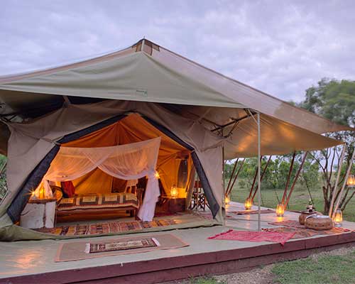 Kenya’s Exclusive Safari (10 days) | Terraficionados