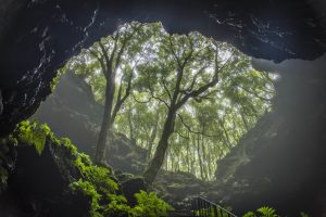 Pico Lava Tunnel-the Azores