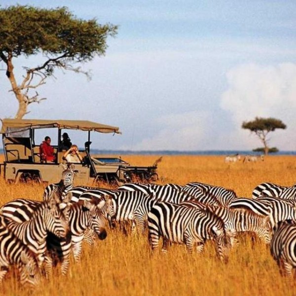 Kenya’s Exclusive Safari (10 days)