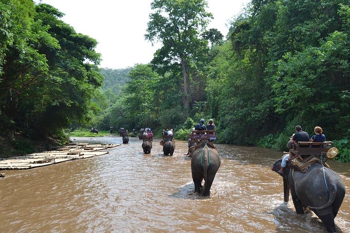 Elephant Camp, Thailand, Pixabay.com