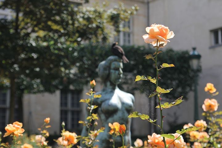 Palais-Royal, Paris, France, Pixabay.com 