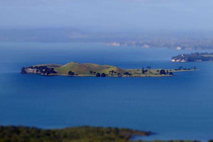 Island Auckland, New Zealand , Pixabay.com