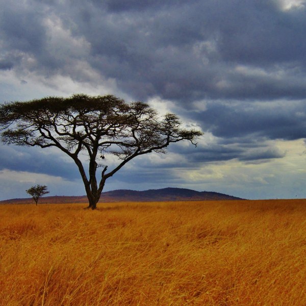 Tanzania Culture & Wildlife Safari (9 days)