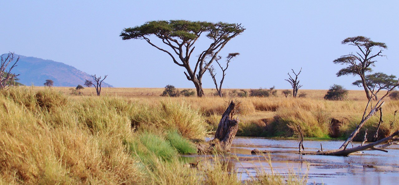  Tanzania, Africa, Pixabay.com
