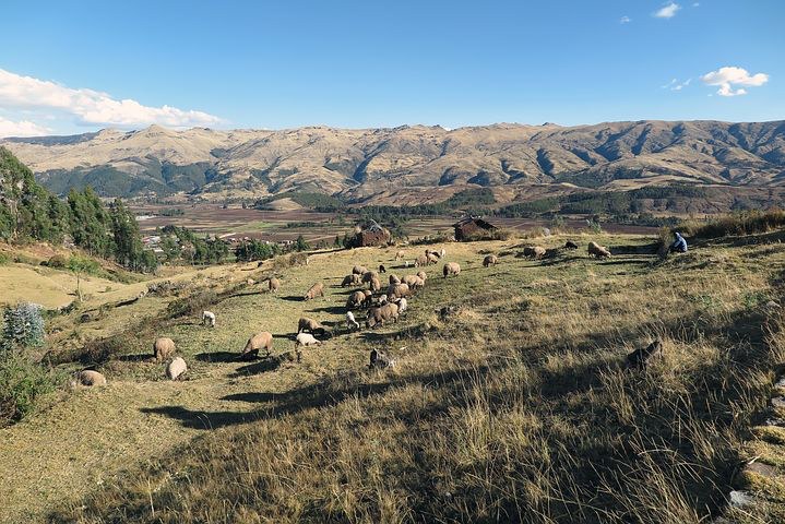 sacsayhuaman, Cusco, Peru, Pixabay.com