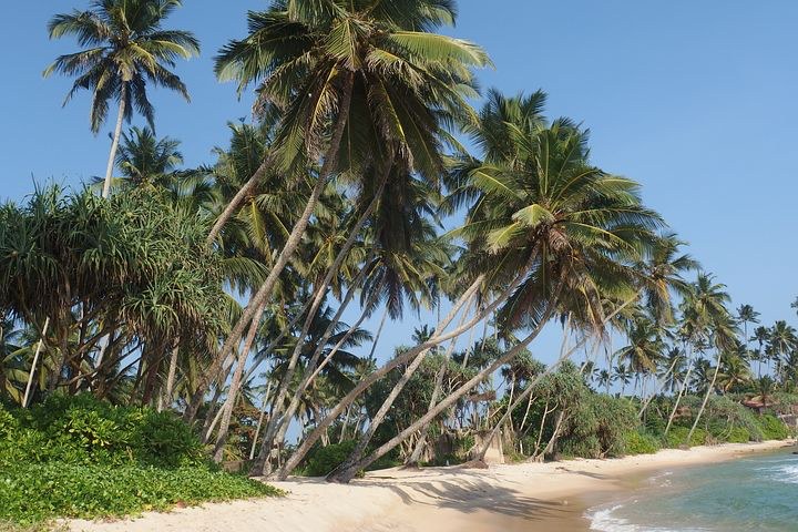 Dondara, Sri Lanka, India, Pixabay.com