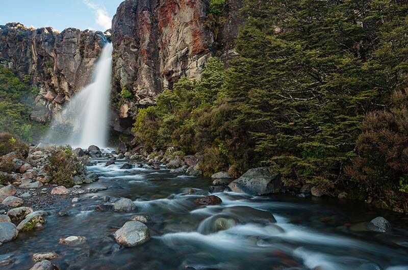 Fiordland National Park, New Zealand, Supplier