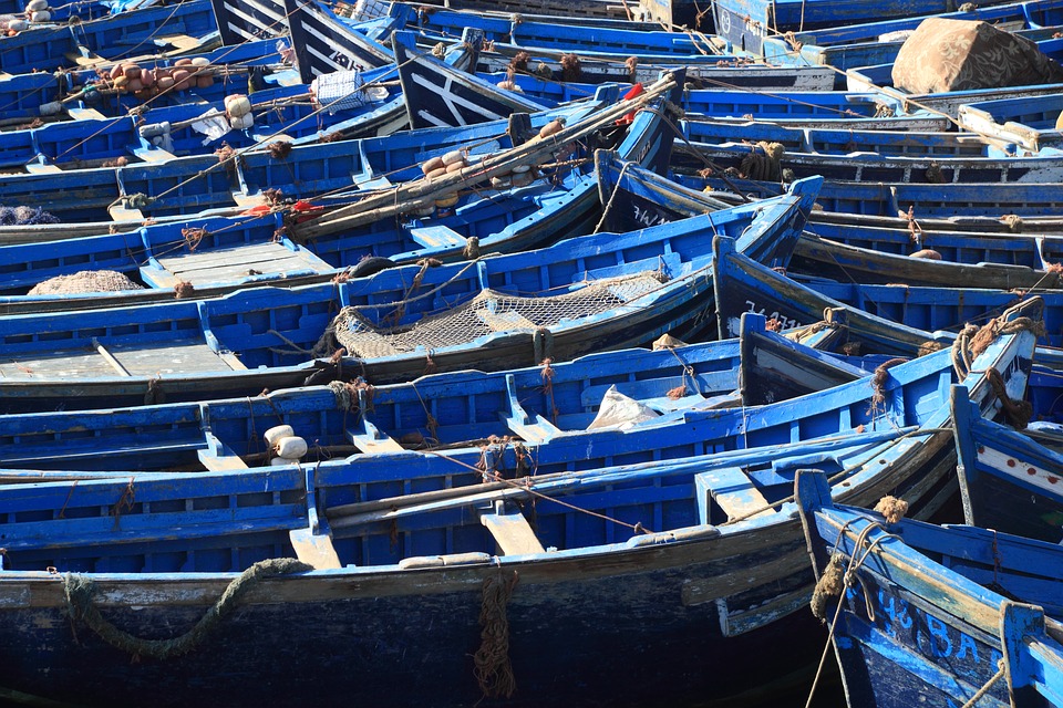 Lively Port, Essaouira, Morocco, Africa, Pixabay.com