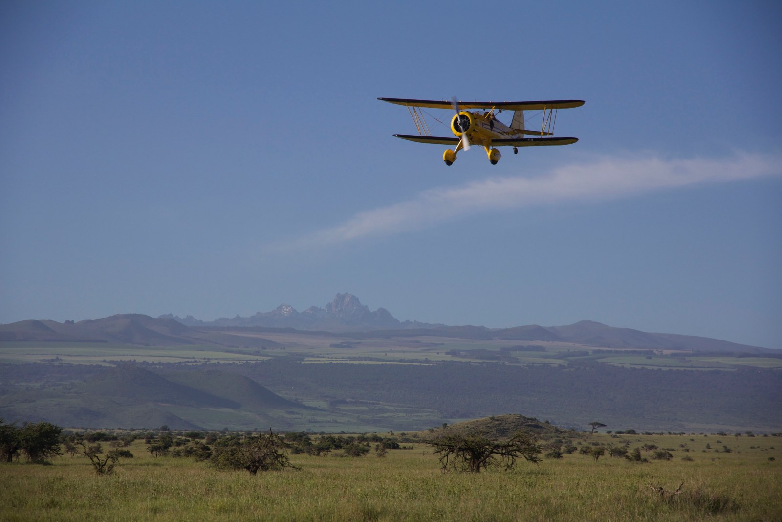 Lewa Wilderness, Kenya, Supplier